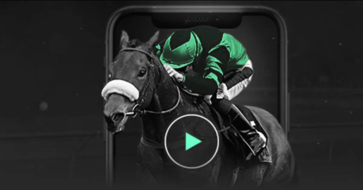 周五赛事亮,张宁绝地反,击一击制胜,广州马会,赛程安排,赛马赛事,马匹资料,会员服务